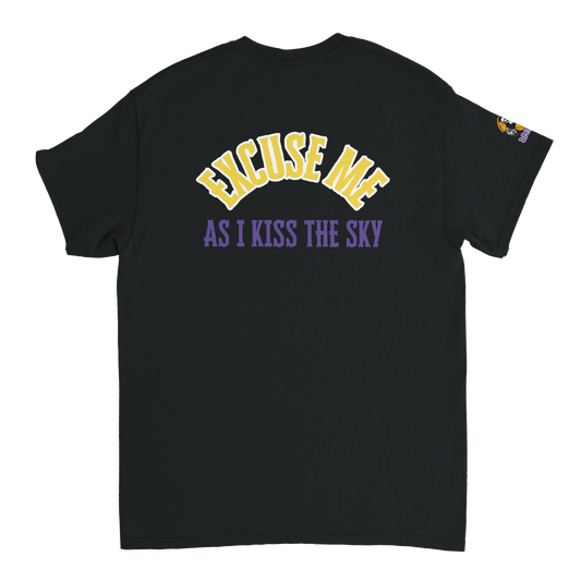 Flight Mode Activated