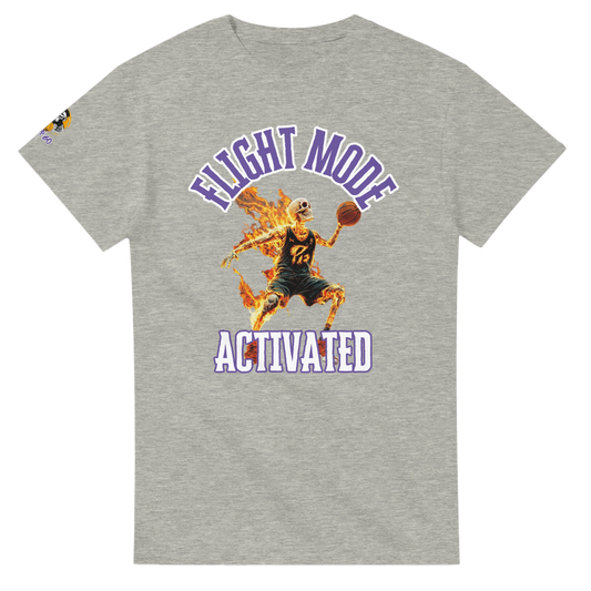 Flight Mode Activated