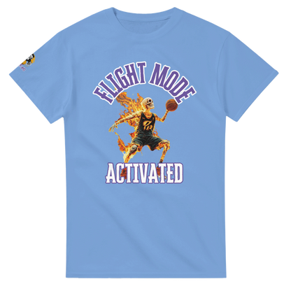 Flight Mode Activated